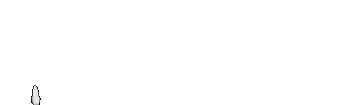 Dalangtoto